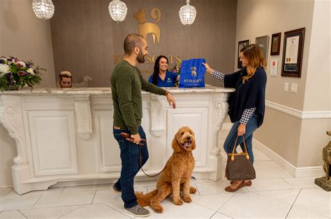 luxury pet hotels dogs.